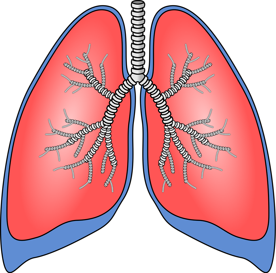 Lungs clipart surrealism. Frames illustrations hd images