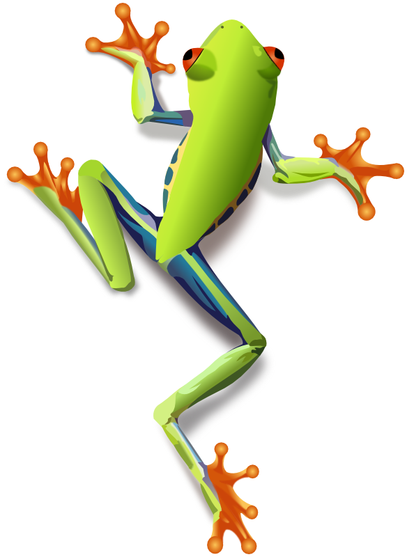 frog clipart tree frog