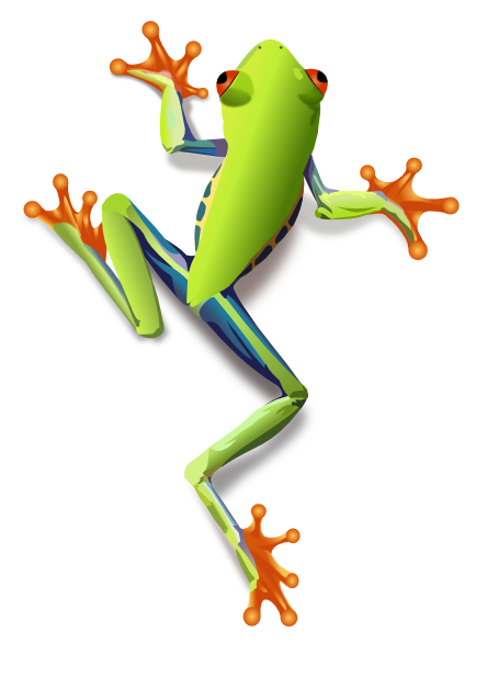 clipart frog tree frog