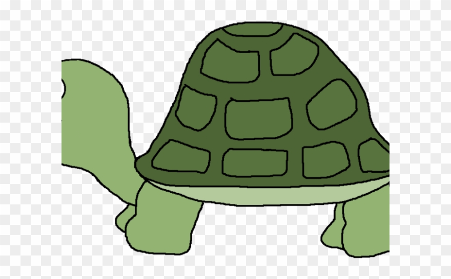 clipart frog turtle