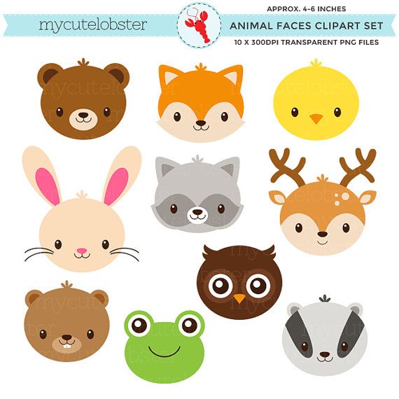 Clipart frog woodland. Animal faces set cute