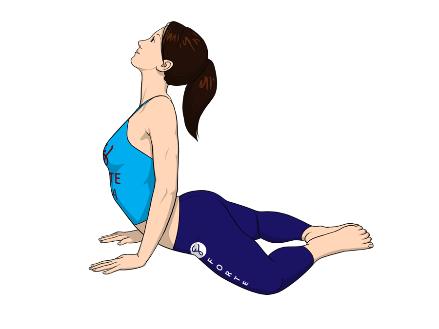 clipart frog yoga