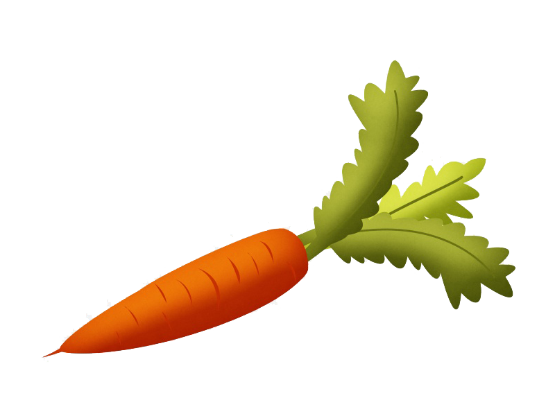 Clipart fruit carrot. Root vegetables clip art