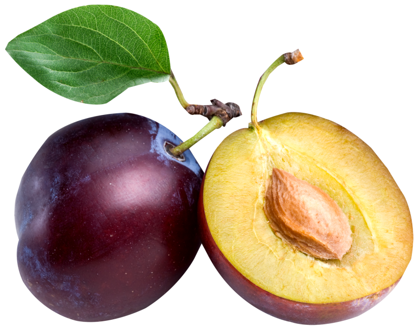  proven health benefits. Plum clipart real