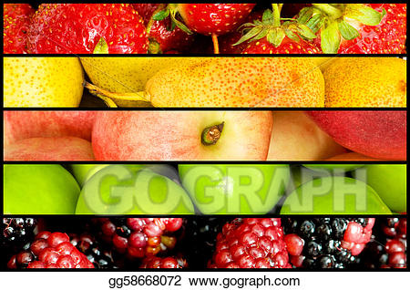 Stock illustrations of many. Clipart fruit collage