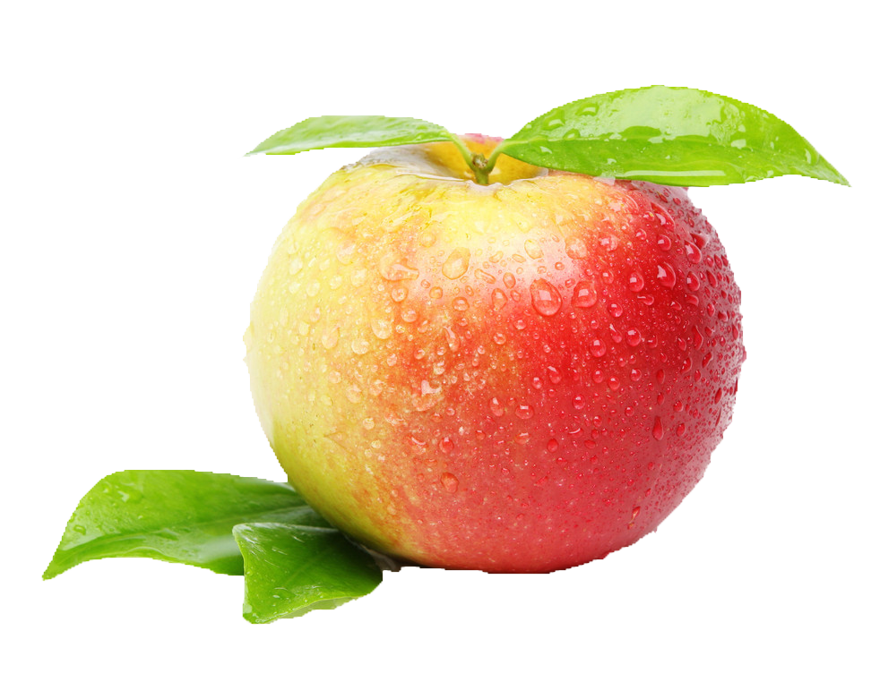 Clipart fruit fresh fruit. Apple auglis clip art