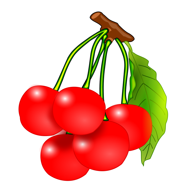 clipart leaf cherry