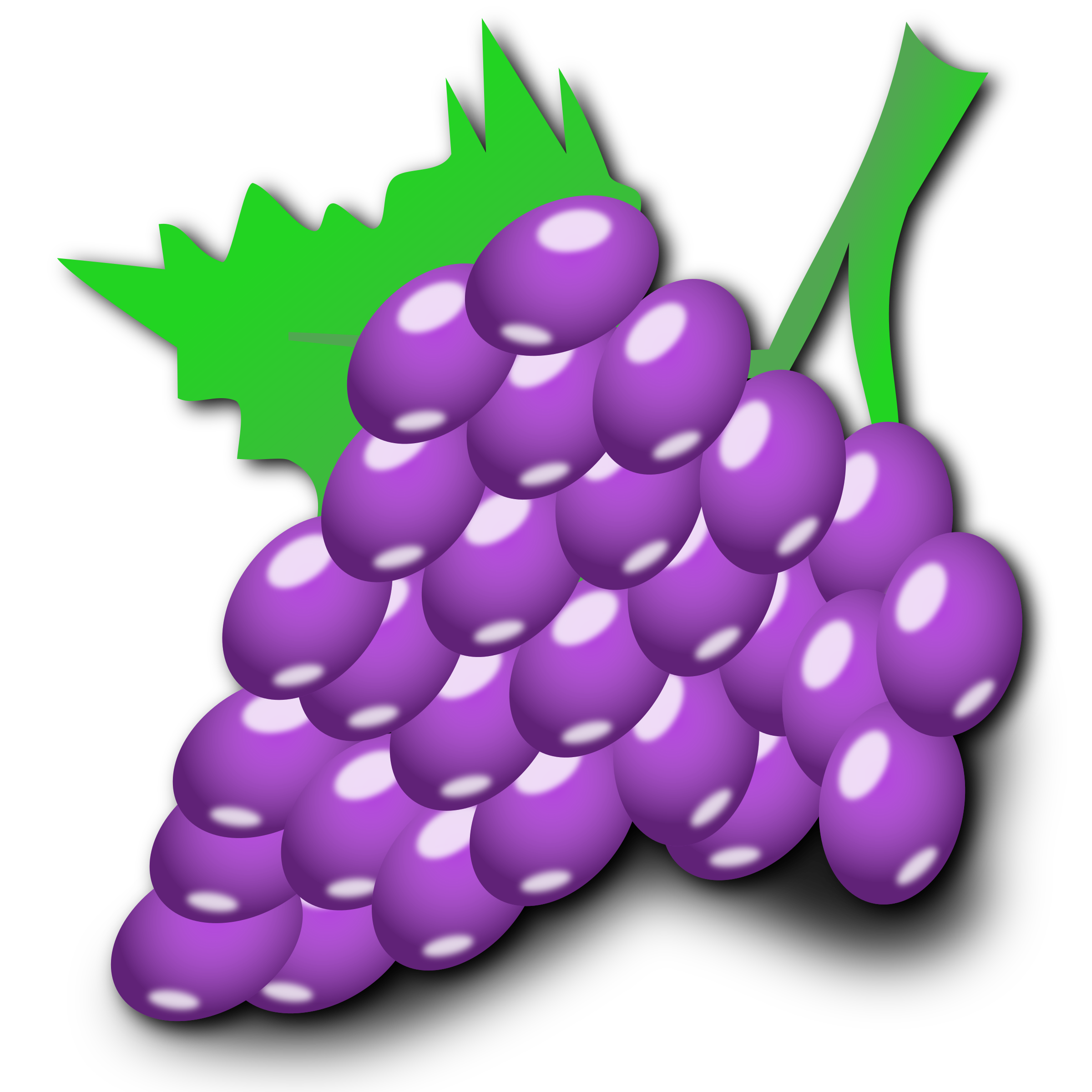 grapes clipart pruple