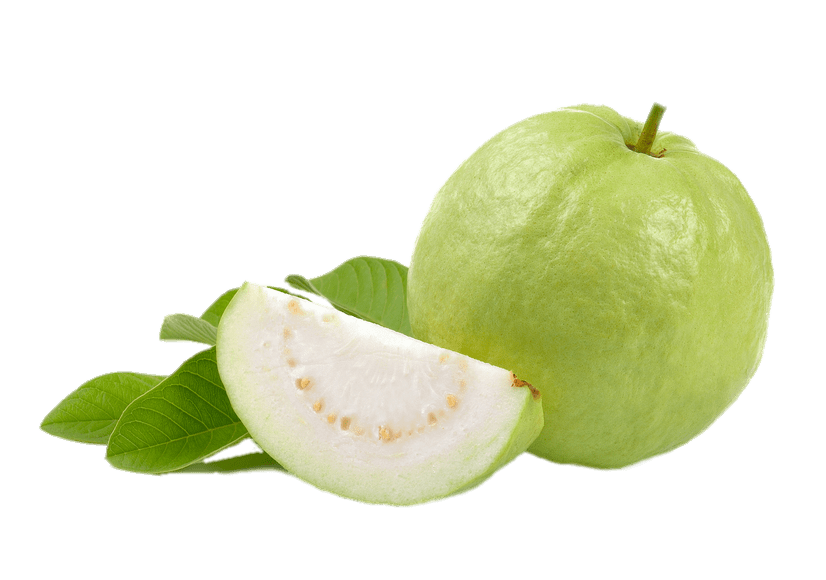 clipart fruit guava