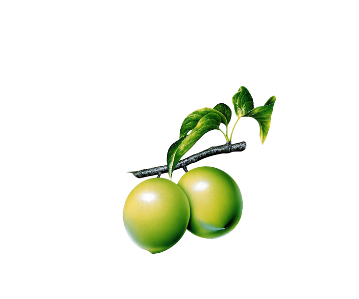 Lime clipart lemon blossom. Guava clip art plum