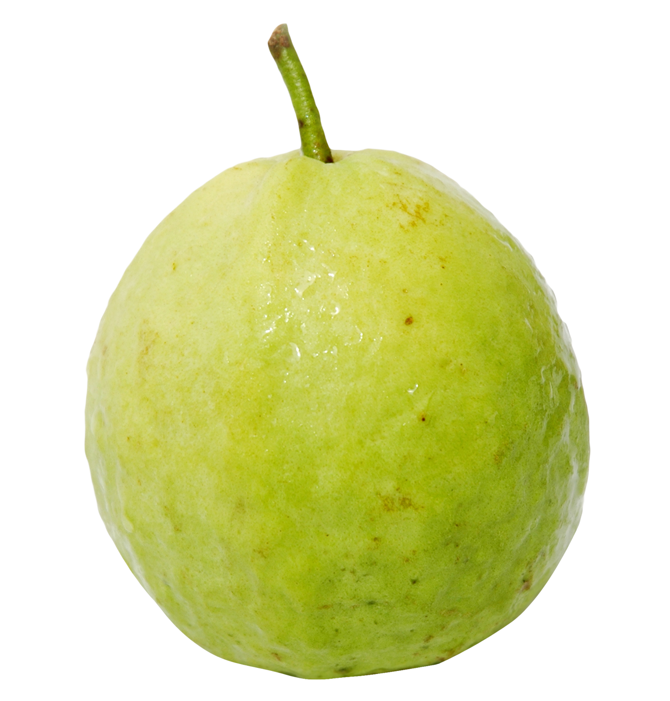 clipart fruit guava