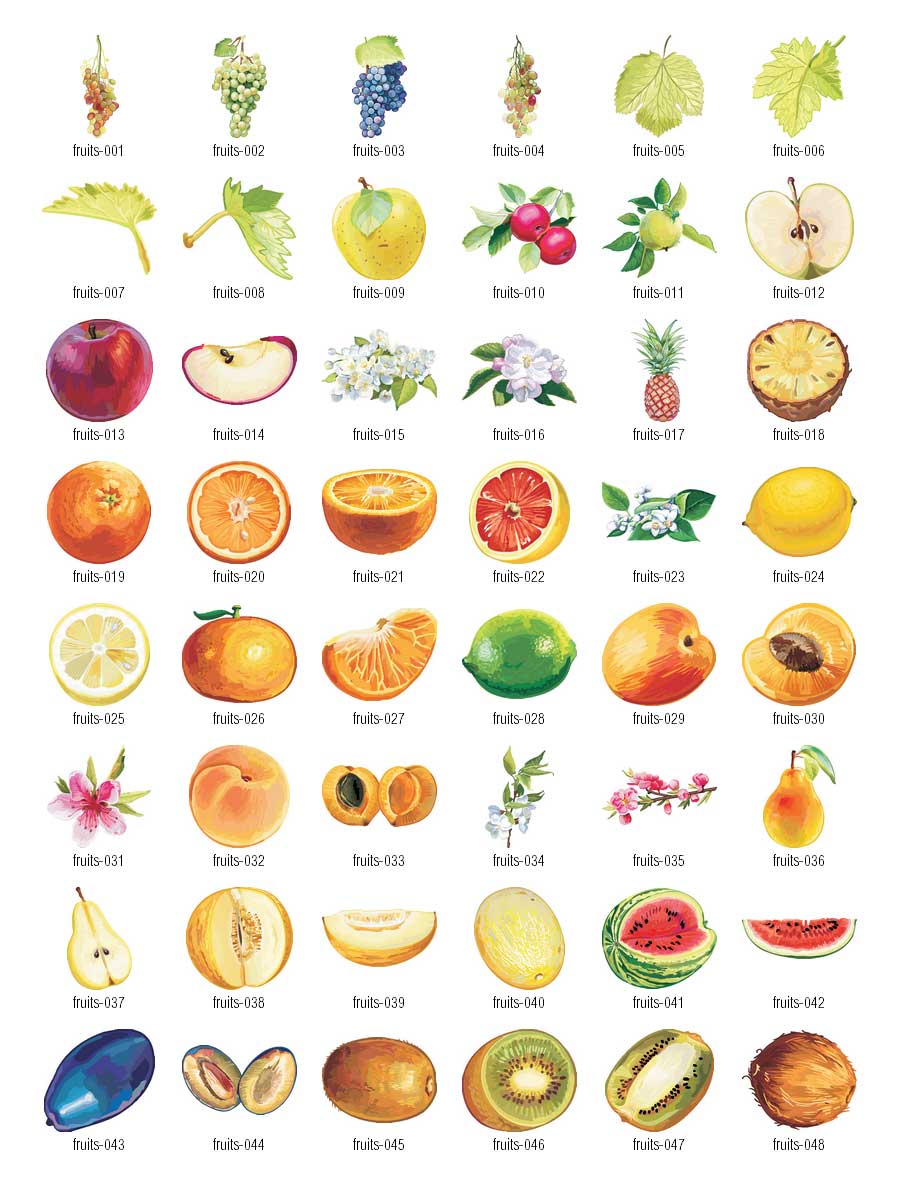 Clipart Fruit Name Clipart Fruit Name Transparent Free For Download On Webstockreview 2020