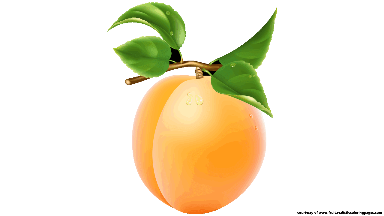 clipart fruit name
