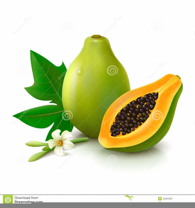 clipart fruit papaya