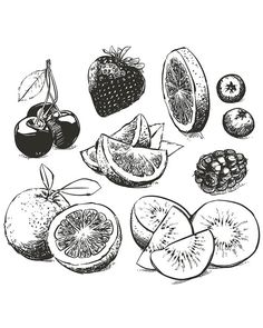 fruits clipart sketch