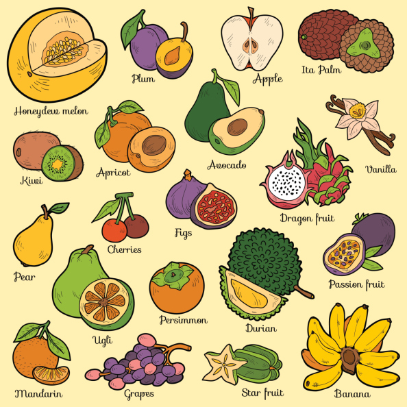 Clipart fruit spring. Free fruits cliparts download