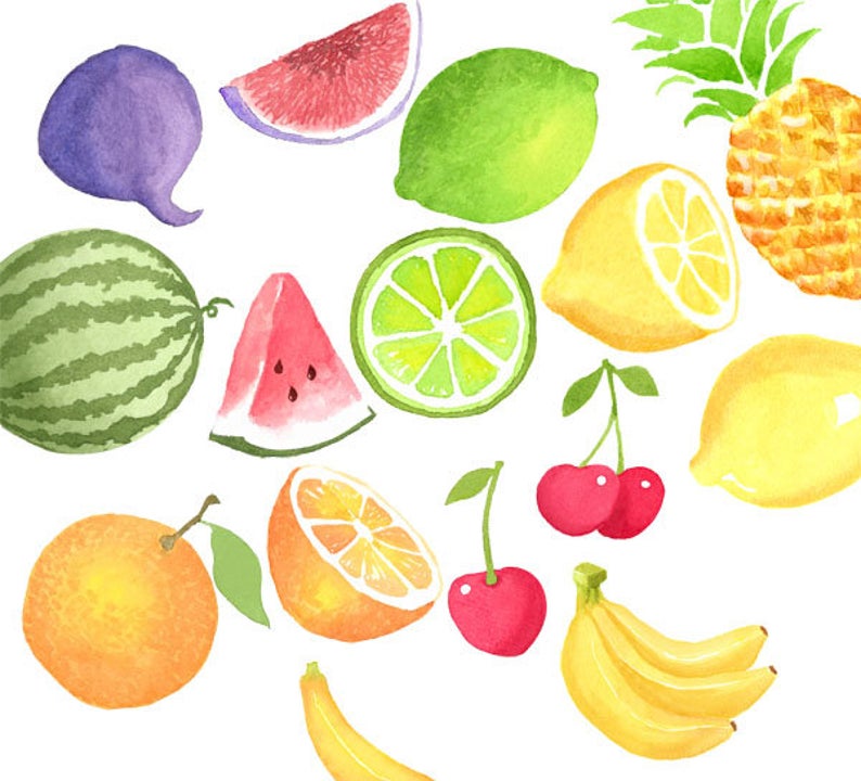 Watercolor fruits set citrus. Clipart fruit summer fruit