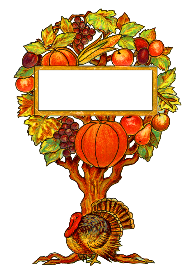 Happy thanksgiving girl at. Clipart turkey country