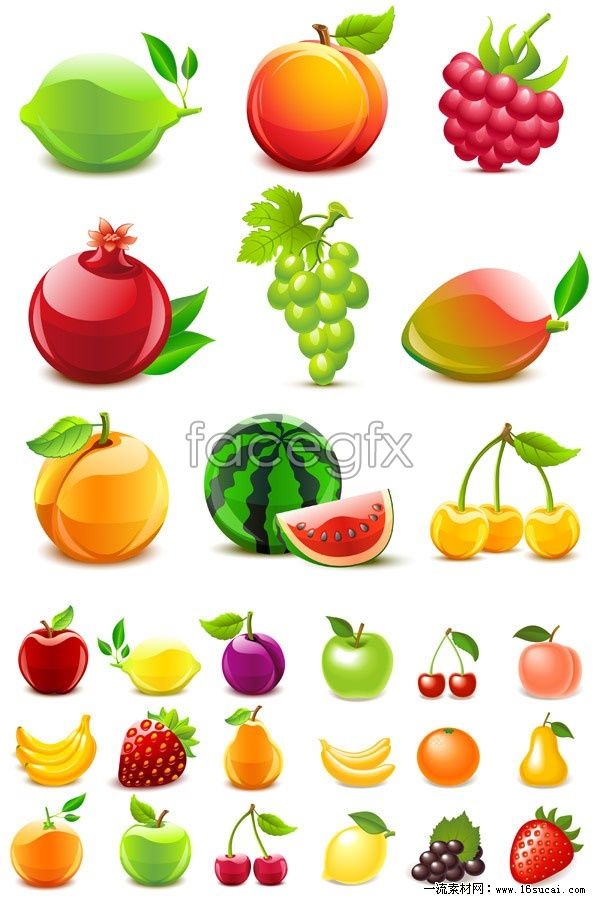 clipart fruit vector