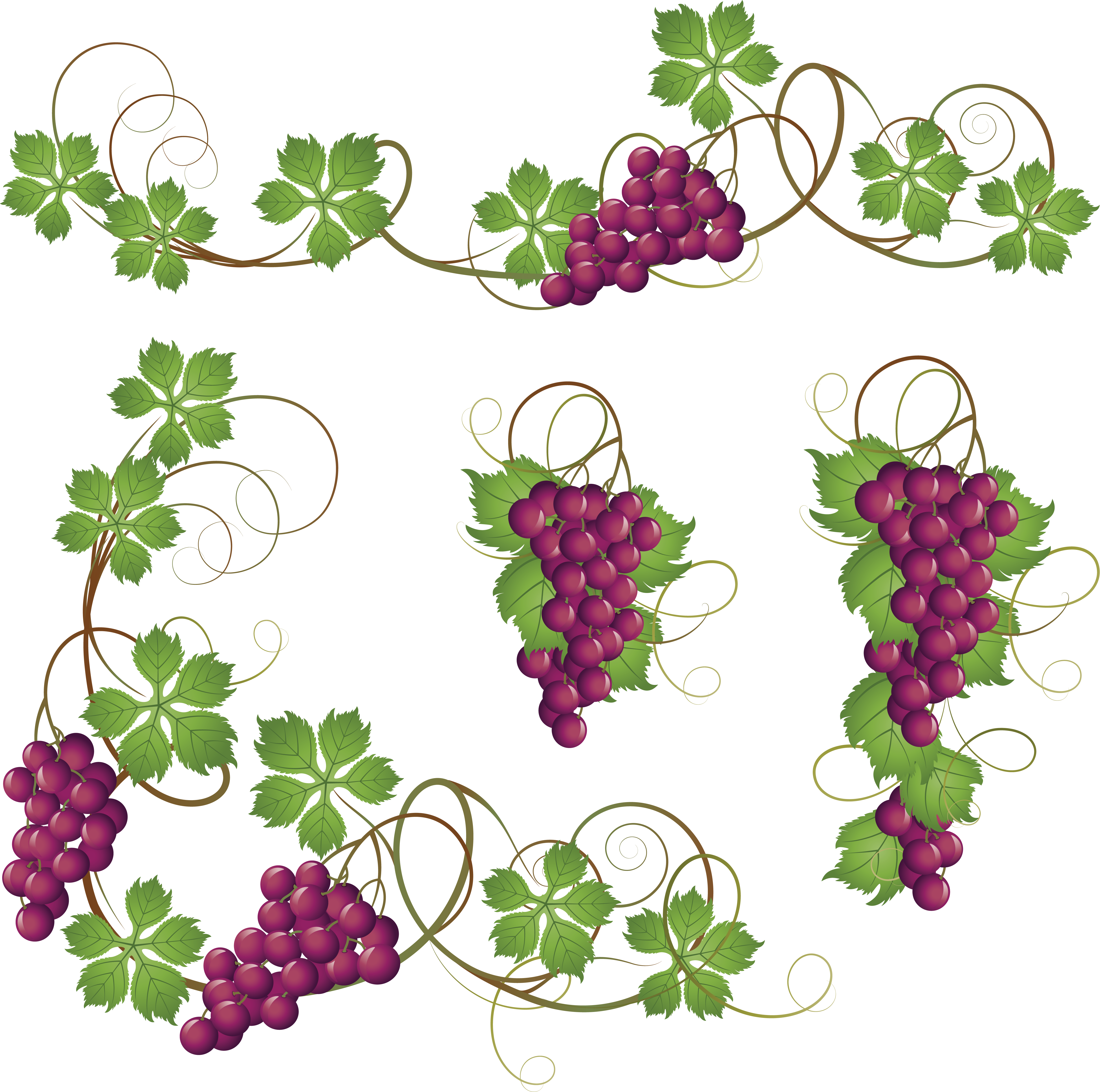 grapes clipart wreath