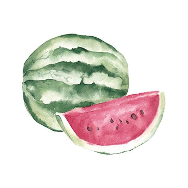 Fruit auglis clip art. Watermelon clipart watercolor
