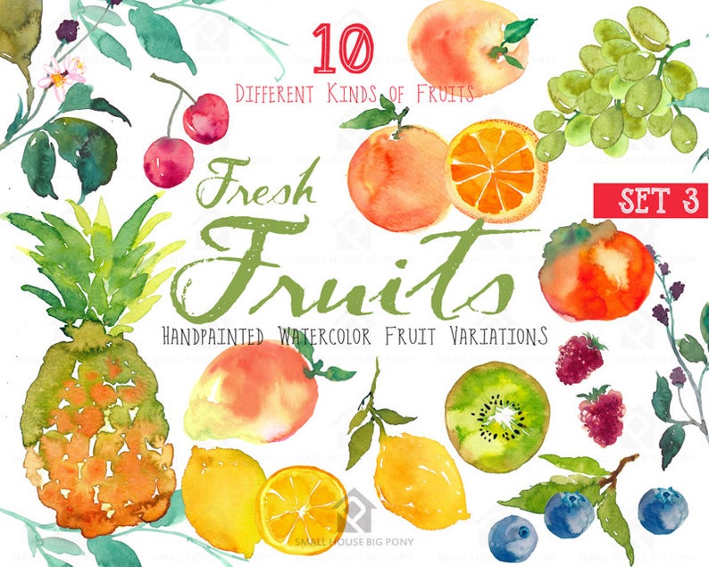 Clipart fruit watercolor. Fruits clip art instant