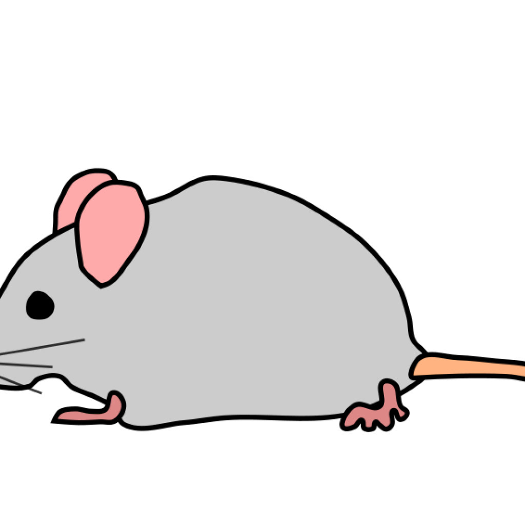 mouse clipart grey mouse