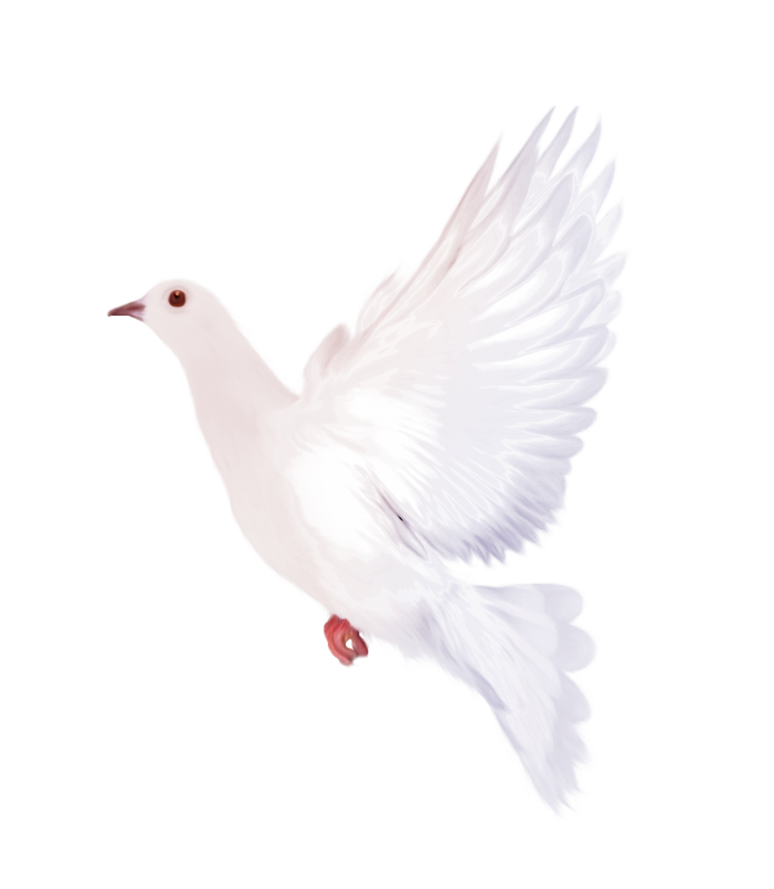 White dove gallery yopriceville. Pigeon clipart bird migration