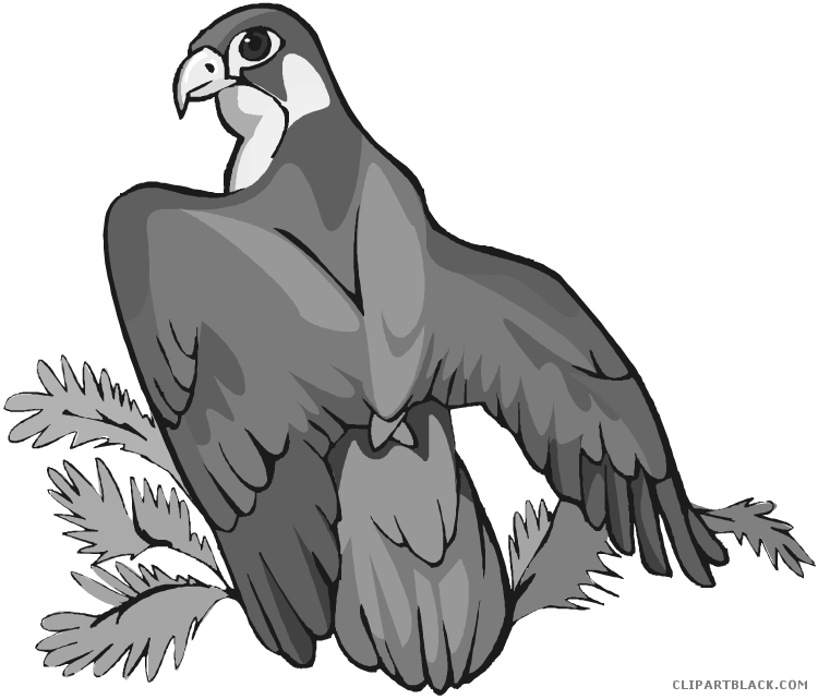clipart gallery eagle