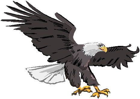 Eagle clipart prey. Clip art 