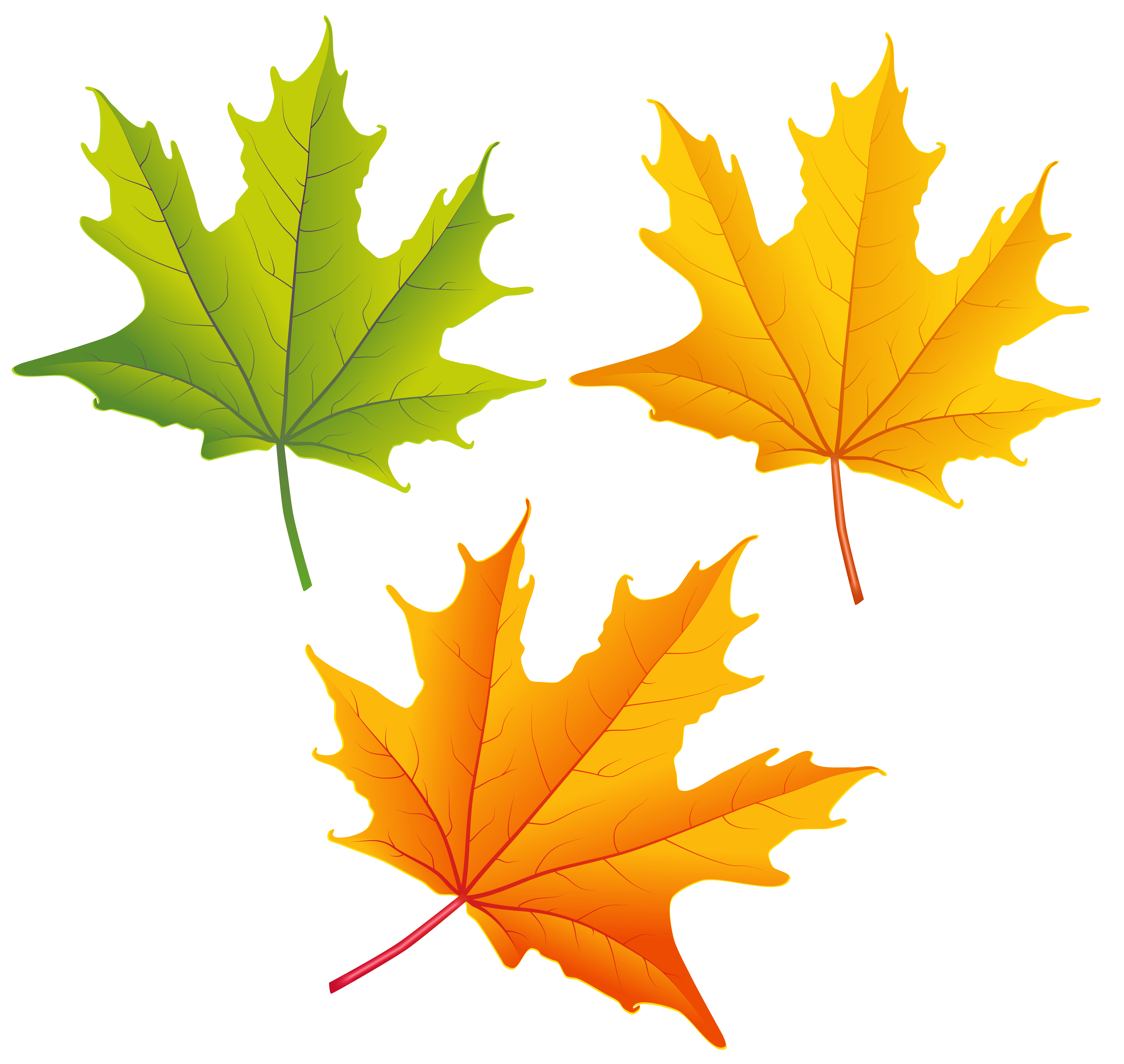 clipart gallery fall leaves free