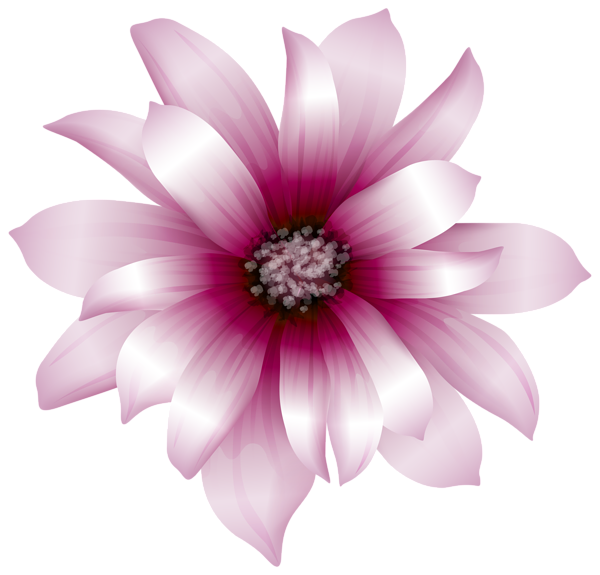 Clipart gallery large flower. Pink transparent png clip