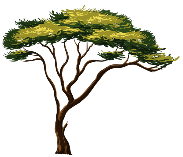 Painted african tree png. Trail clipart forest trail