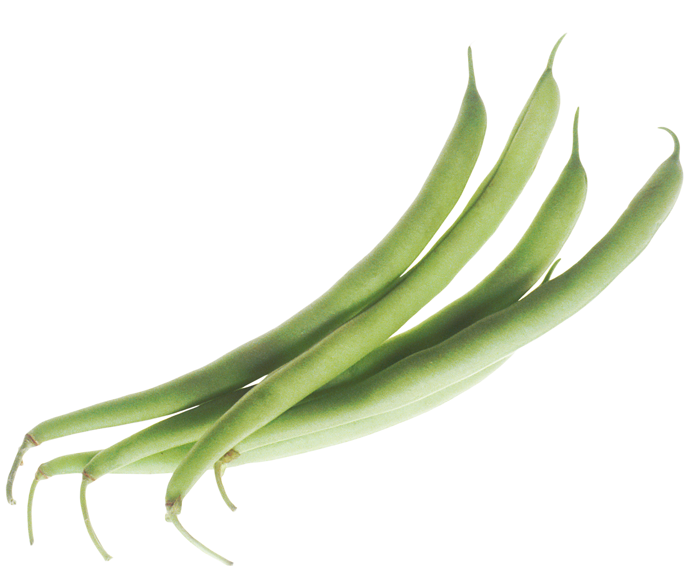 clipart people string bean