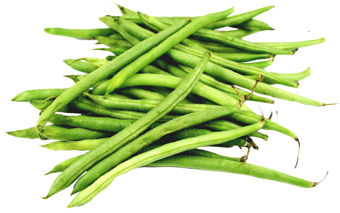 people clipart string bean