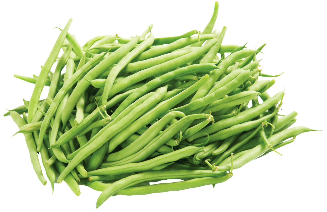 Clipart gallery string bean. Green beans png image