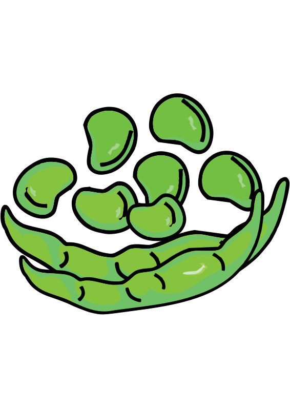 Clip art panda free. Growth clipart bean plant