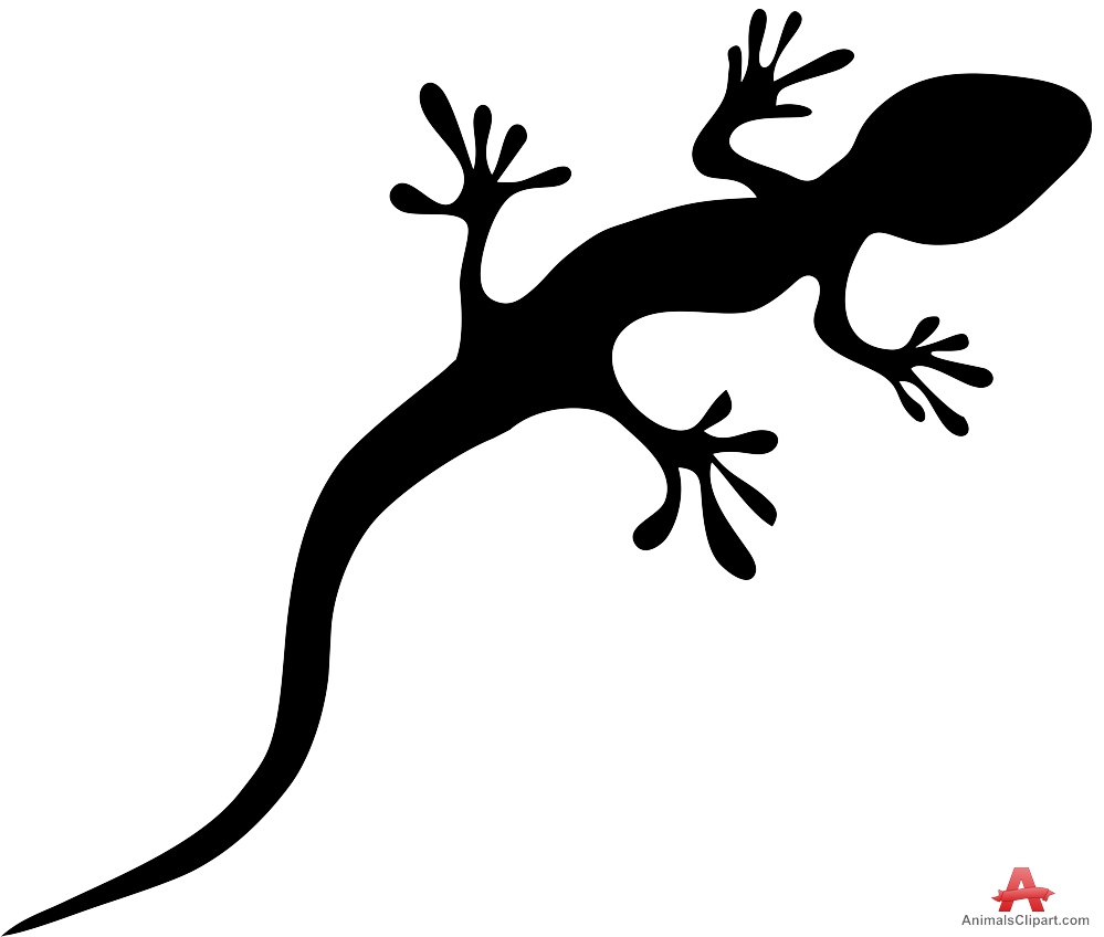 gecko clipart salamander