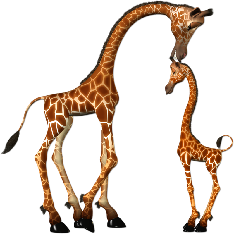 tall clipart yellow giraffe