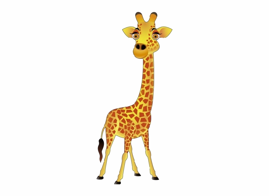giraffe clipart clear background