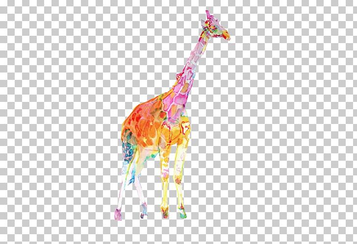 Clipart giraffe colorful giraffe. Watercolor painting illustration png