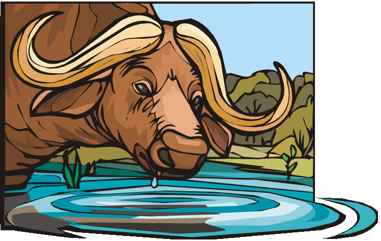 head clipart water buffalo
