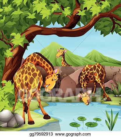 clipart giraffe drinking water cartoon
