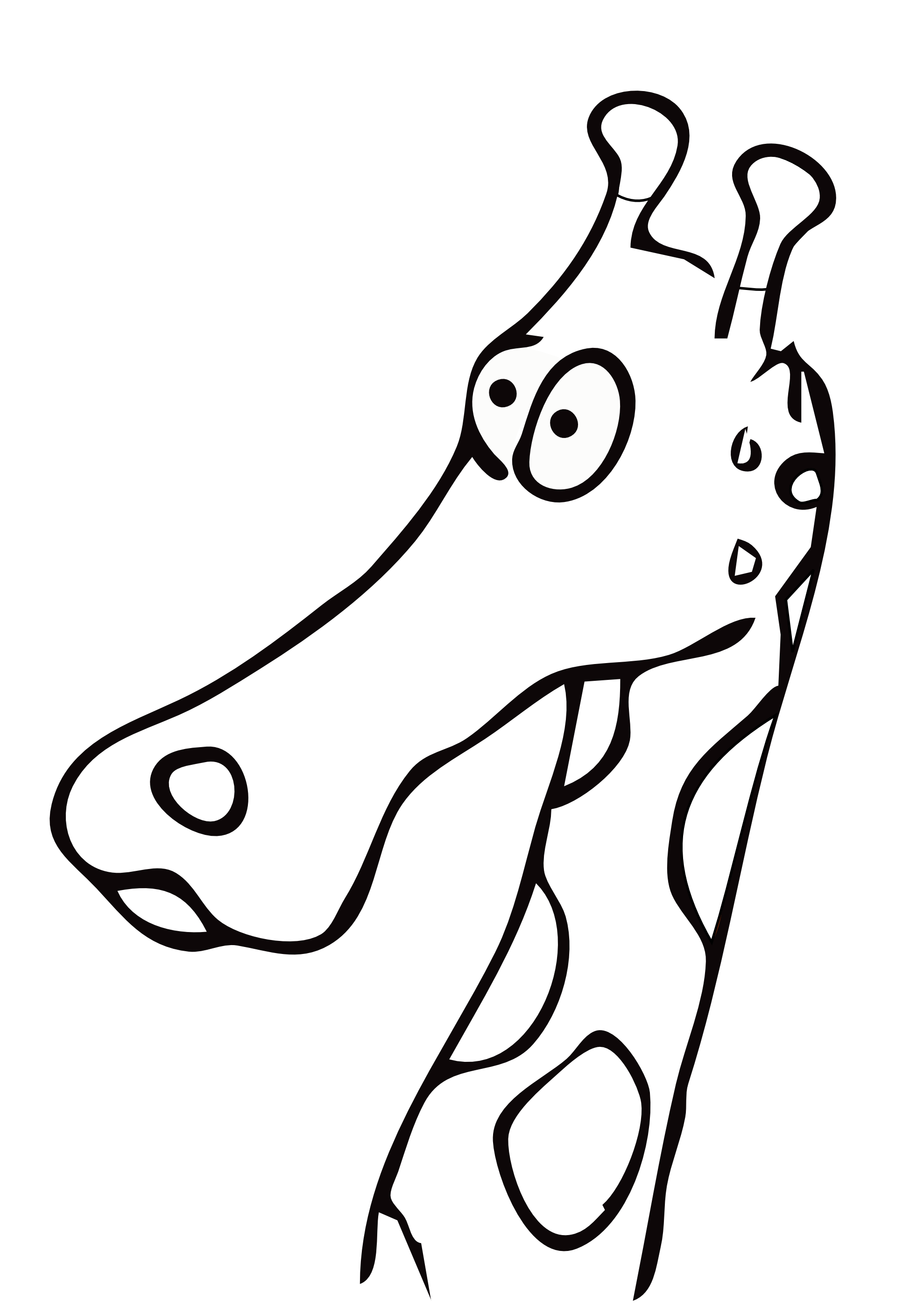 Black and white letters. Giraffe clipart simple