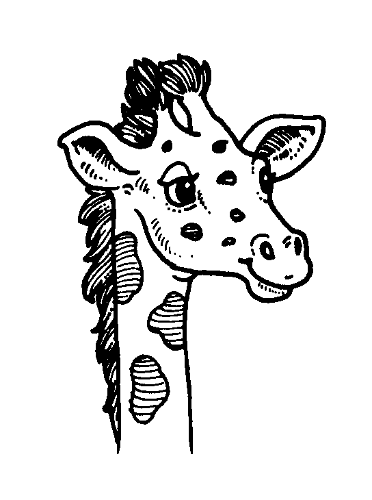 Clipart giraffe face drawing. Free cliparts download clip