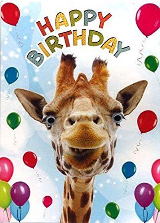 Download Clipart giraffe happy birthday, Clipart giraffe happy ...