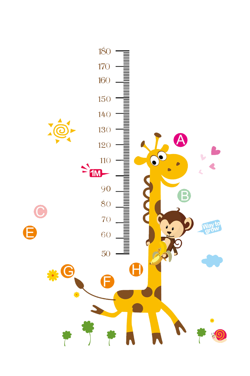 Growth child wall decal. Clipart giraffe height chart