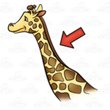 giraffe clipart neck