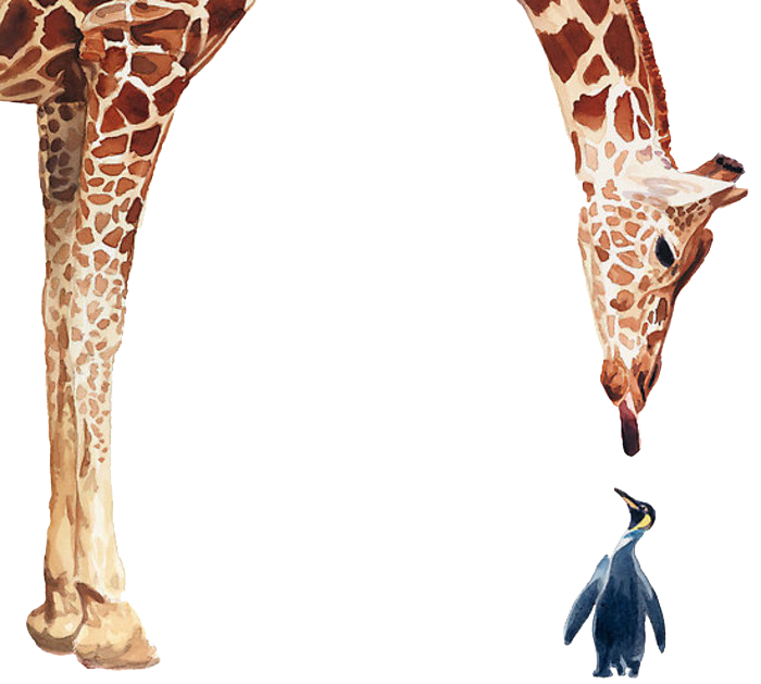 clipart giraffe realistic