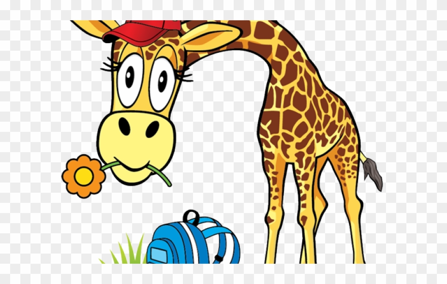 giraffe clipart school